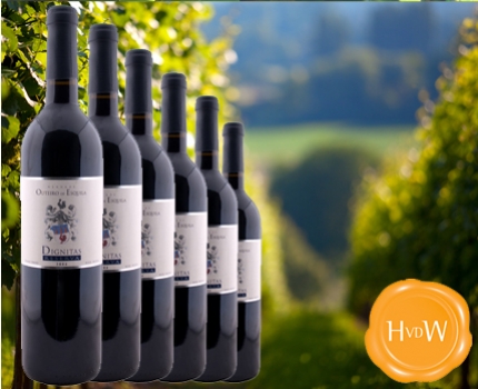 Groupdeal - 6 flessen rode Portugese Dignitas Reserva 2004 wijn 50% korting! Groupdeal - 6 flessen rode Portugese Dignitas Reserva 2004 wijn 50% korting!