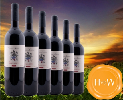 Groupdeal - 6 flessen rode Portugese Dignitas Reserva 2005 wijn 50% korting! Groupdeal - 6 flessen rode Portugese Dignitas Reserva 2005 wijn 50% korting!