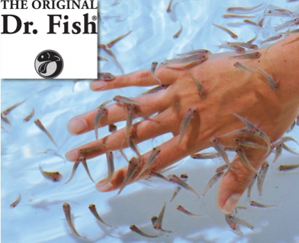 Groupdeal - Dr. Fish experience voor TWEE Groupdeal - Dr. Fish experience voor TWEE