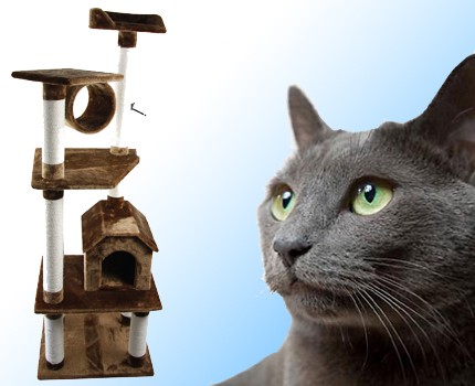 Groupdeal - Fijne Petcomfort krabpaal voor je kat én €7,50 shoptegoed op Jumbopet.nl! Groupdeal - Fijne Petcomfort krabpaal voor je kat én €7,50 shoptegoed op Jumbopet.nl!