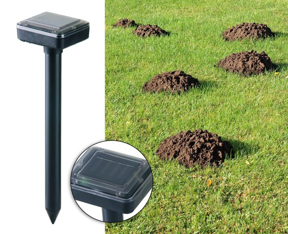 Groupdeal - Mollenverjager op Zonne-energie Groupdeal - Mollenverjager op Zonne-energie