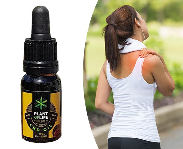 Groupdeal - Plant Of Life CBD Olie 6% Groupdeal - Plant Of Life CBD Olie 6%
