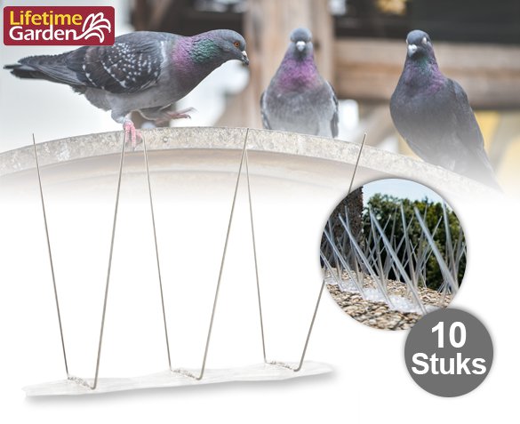 Groupdeal - Set van 10 Vogelpinnen Groupdeal - Set van 10 Vogelpinnen