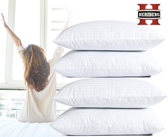 Groupdeal - Set van 4 Herzberg Kussens Groupdeal - Set van 4 Herzberg Kussens