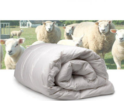 Groupdeal - Texelse wollen dekbed. Groupdeal - Texelse wollen dekbed.