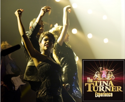Groupdeal - The Tina Turner Experience in Gelredome Groupdeal - The Tina Turner Experience in Gelredome