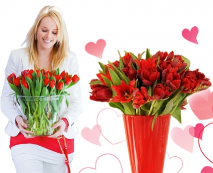 Groupdeal - Valentijnspakket van 24 prachtige Rode Tulpen! Groupdeal - Valentijnspakket van 24 prachtige Rode Tulpen!