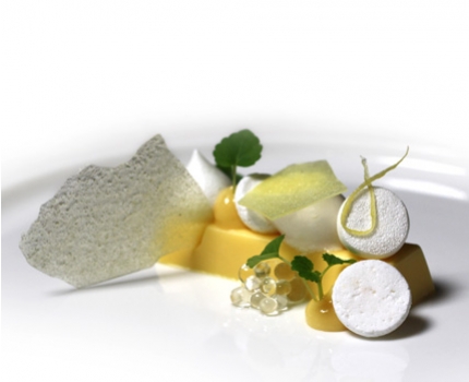 Groupdeal - Verassingslunch Michelin-ster restaurant Niven! Groupdeal - Verassingslunch Michelin-ster restaurant Niven!