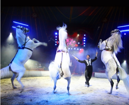 Groupdeal - Wintercircus in Amsterdam of Utrecht Groupdeal - Wintercircus in Amsterdam of Utrecht