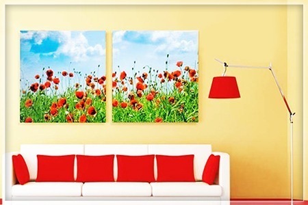 Groupon - € 14,99 Voor Een Bon Ter Waarde Van € 50 Geldig Op Het Volledige Assortiment Van Big Freddy, Laat Je Mooiste Foto's Afdrukken Op Aluminium, Plexiglas, Canvas, Etc. Groupon - € 14,99 Voor Een Bon Ter Waarde Van € 50 Geldig Op Het Volledige Assortiment Van Big Freddy, Laat Je Mooiste Foto's Afdrukken Op Aluminium, Plexiglas, Canvas, Etc.