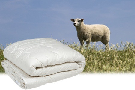 Groupon - 4-seizoenen dekbed van echte Texelse schapenwol (vanaf € 79,99, gratis bezorging)