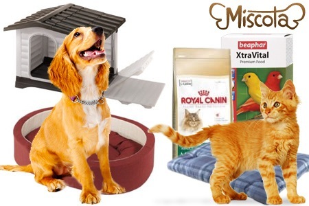 Groupon - € 5 Voor Een Waardebon Van € 15 Voor Het Gehele Assortiment Van Dieren-webwinkel Miscota.nl Groupon - € 5 Voor Een Waardebon Van € 15 Voor Het Gehele Assortiment Van Dieren-webwinkel Miscota.nl
