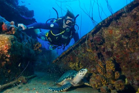 Groupon - Cursus Bij Diveversity (Waarde € 399) Groupon - Cursus Bij Diveversity (Waarde € 399)