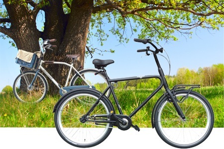 Groupon - Gazelle Of Batavus Fietsen Voor Dames En Heren In Verschillende Modellen (Vanaf € 299)