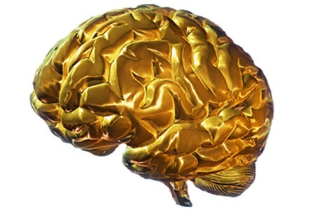 Groupon - Studiepakket Van Train Your Brain Om Te Leren Snellezen, Geheugentraining, Mindmappen Etc. (Waarde € 197) Groupon - Studiepakket Van Train Your Brain Om Te Leren Snellezen, Geheugentraining, Mindmappen Etc. (Waarde € 197)