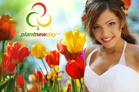 Groupon - Tweehonderd Topkwaliteit Tulpenbollen Met 100% Groei- En Bloeigarantie Én Gratis Thuisgestuurd, De Ideale Sinterklaas Topper! Groupon - Tweehonderd Topkwaliteit Tulpenbollen Met 100% Groei- En Bloeigarantie Én Gratis Thuisgestuurd, De Ideale Sinterklaas Topper!
