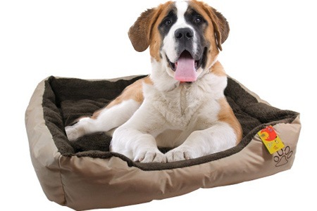 Groupon - Vanaf € 20,90 Kleine, Medium Of Grote Hondenmanden In Beige Of Bruin (+ € 8,10 Verzendkosten) Groupon - Vanaf € 20,90 Kleine, Medium Of Grote Hondenmanden In Beige Of Bruin (+ € 8,10 Verzendkosten)