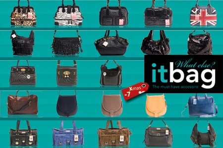 Groupon - Waardebon Van € 50 Voor It-bag.nl, Met Gratis Tasorganizer Ter Waarde Van € 19,95 En T/m 31 December 2010 Geen Verzendkosten!