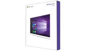 Groupon - Windows 10 Professional