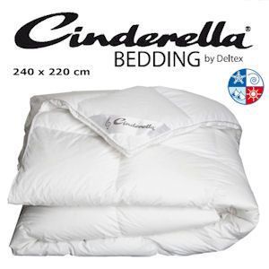 iBood - Cinderella Basic 4 Seizoenen Dekbed Anti-Allergeen Lits-Jumeaux