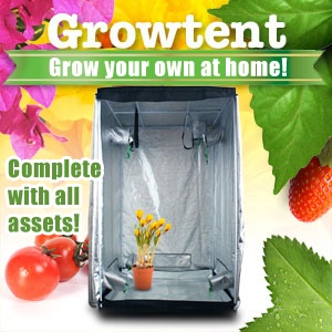 iBood - Complete kweektent met alle toebehoren iBood - Complete kweektent met alle toebehoren