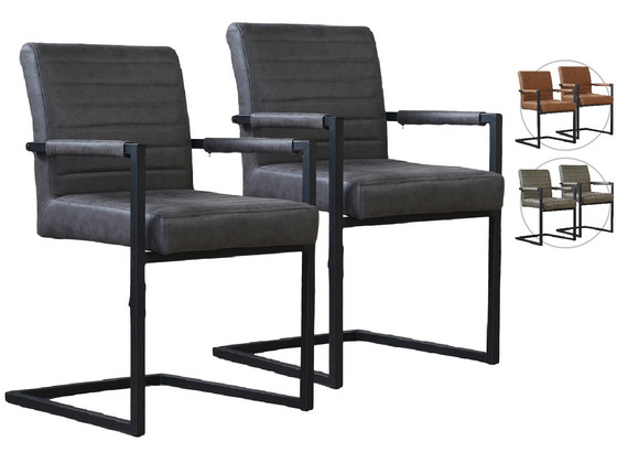 iBood Home & Living - 2x Cyrus Benson Collection Eetkamerstoel iBood Home & Living - 2x Cyrus Benson Collection Eetkamerstoel