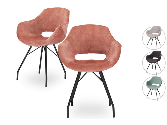 iBood Home & Living - 2x Dyyk Eetkamerstoel Barth iBood Home & Living - 2x Dyyk Eetkamerstoel Barth