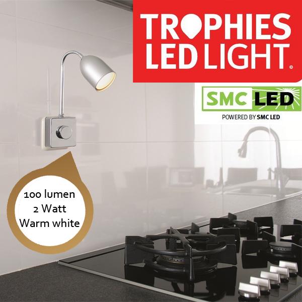 iBood Home & Living - Trophies LED dimbare stekkerlamp