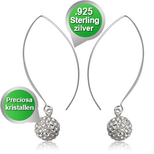 iBood - Sierlijke oorbellen met witte preciosa kristallen iBood - Sierlijke oorbellen met witte preciosa kristallen
