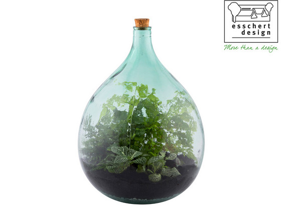 iBood - Terrarium Fles Set | 35 Liter