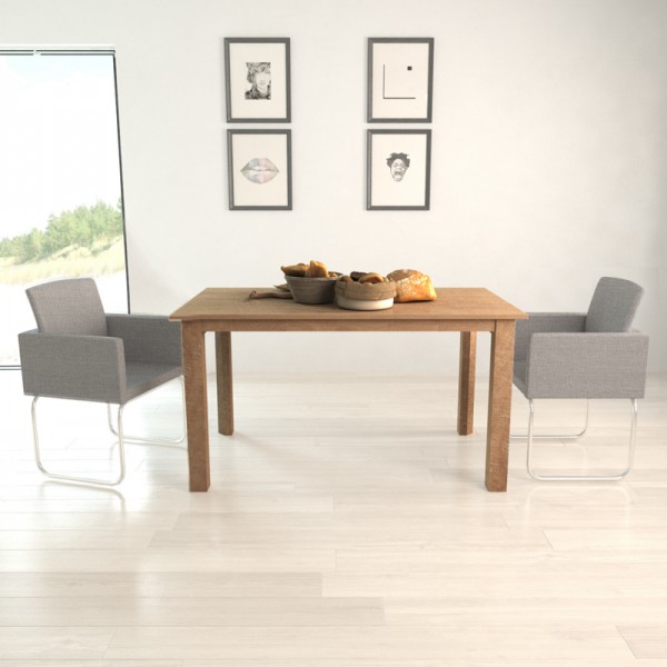 iChica - Eetkamerstoelen (twee stuks) iChica - Eetkamerstoelen (twee stuks)