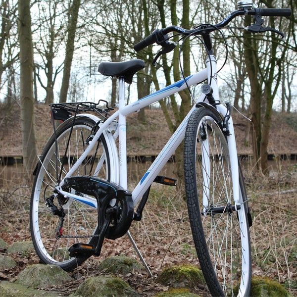 iChica - Torpado Esperia Fietsen iChica - Torpado Esperia Fietsen