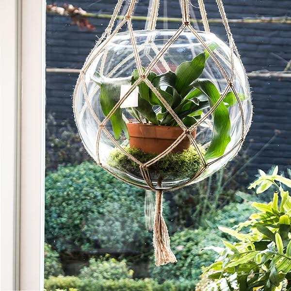 iChica - XL Hanging Bowl iChica - XL Hanging Bowl