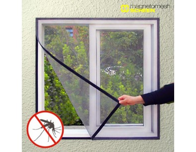 IDiva - Insecten Raamhor IDiva - Insecten Raamhor