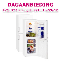 Internetshop.nl - Exquisit KGC233/60-4A+++ koelkast