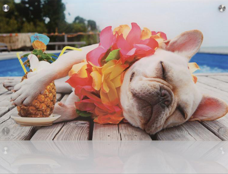 Lifestyle Deal - Een Foto Op Plexiglas 6Mm 60 X 40 Voucher Lifestyle Deal - Een Foto Op Plexiglas 6Mm 60 X 40 Voucher