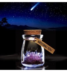 Mega Gadgets - Crystal Wish Jar Mega Gadgets - Crystal Wish Jar