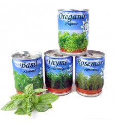 Mega Gadgets - Herbs-in-a-tin Mega Gadgets - Herbs-in-a-tin