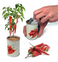 Mega Gadgets - Macflowers Mega Gadgets - Macflowers