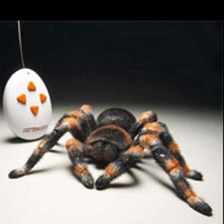 Mega Gadgets - R/c Spider Mega Gadgets - R/c Spider