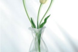 Nice Deals - Le Sack Vaasjes Nice Deals - Le Sack Vaasjes