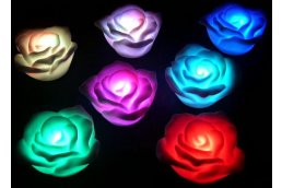 Nice Deals - Led Roosjes Met Oplader Nice Deals - Led Roosjes Met Oplader