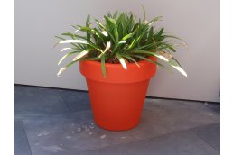 Nice Deals - Oranje!! Bloempot ! Nice Deals - Oranje!! Bloempot !