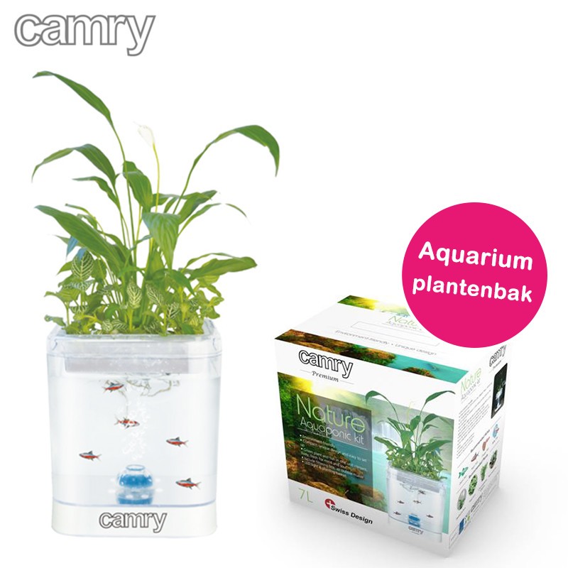 One Day For Ladies - Aquarium plantenbak