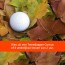 One Day Only - Haal je Golfvaardigheidsbewijs / Hcp 54 One Day Only - Haal je Golfvaardigheidsbewijs / Hcp 54
