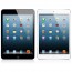 One Day Only - iPad Mini WiFi + Cellular