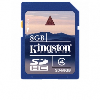 One Day Only - Kingston 8 GB SD Kaart SDHC Class 4