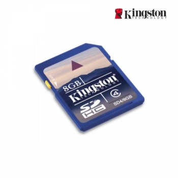 One Day Only - Kingston 8GB SD Kaart