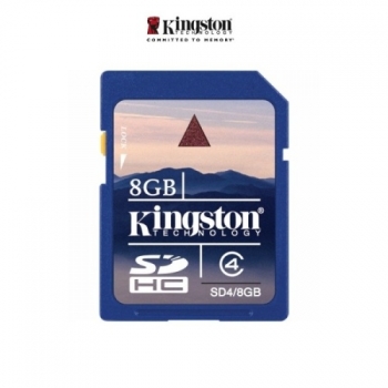 One Day Only - Kingston SDHC 8 GB Class 4 One Day Only - Kingston SDHC 8 GB Class 4
