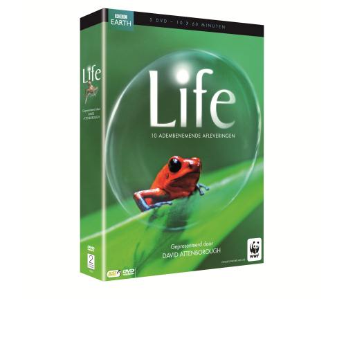 One Day Only - Life One Day Only - Life